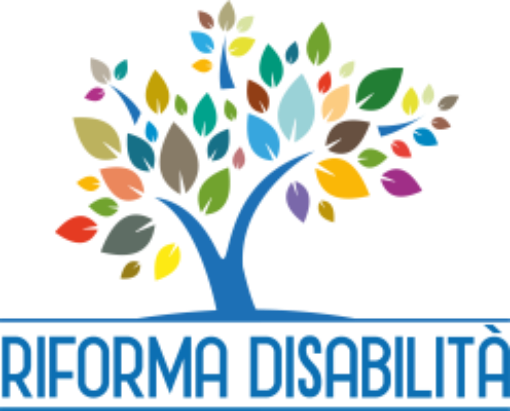 Immagine dell'articolo: Corso di formazione sulla Riforma della Disabilità (D.Lgs. 62/2024)